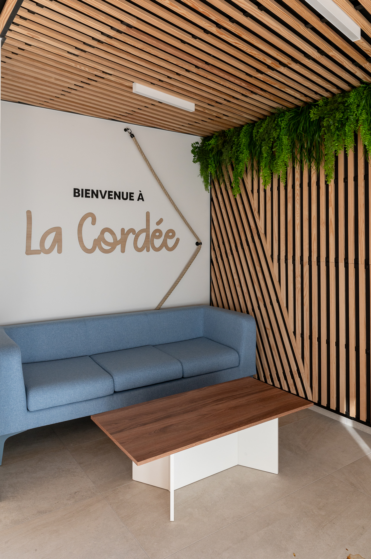 Espace d'accueil de La Cordée, avec un mur en claustra bois orné de végétal stabilisé, un canapé bleu et une table basse en bois.