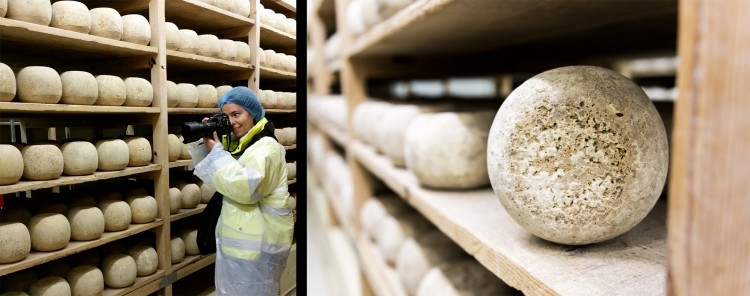 Prise de vue pour PROLAIDIS : mise en avant de la cave d'affinage des mimolettes